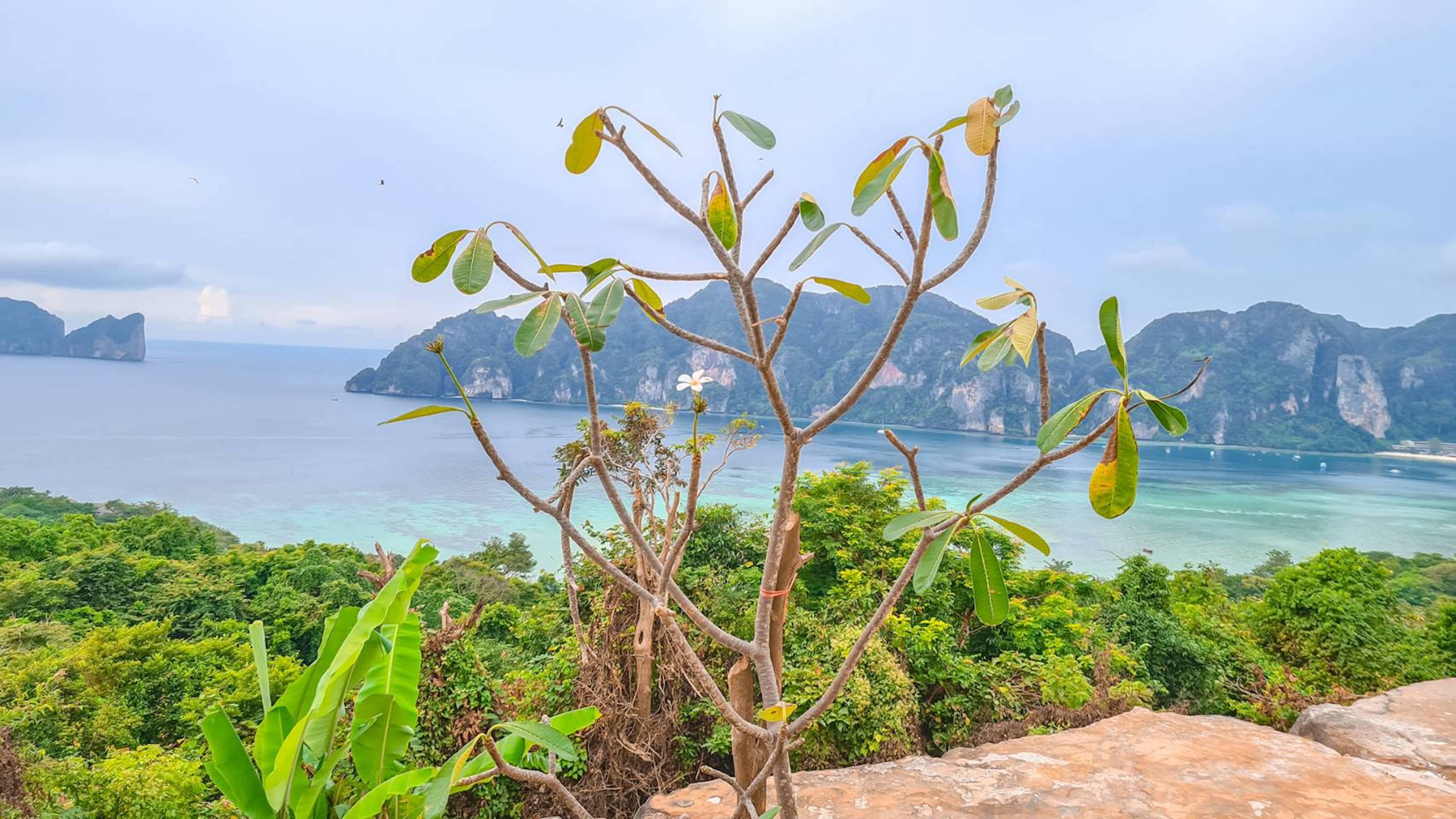 Phi Phi Mountain Beach Resort Sha Certified Экстерьер фото